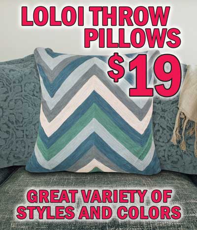 Pillows from Loloi - $19 Special Buy - While They Last!