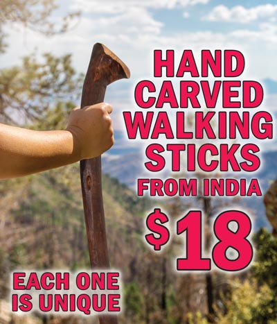 Hand Carved Walking Sticks from India $18, each one is unique