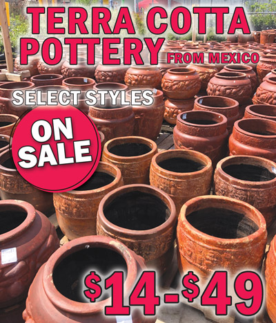 SALE on Terra Cotta Pottery from Mexico, select styles only, $14 to $49, originally priced $17 to $59. Natural Terra Cotta pottery is made by hand by artisans in Mexico. Each piece is unique and has an organic charm. Designs will vary from piece to piece and styles may vary by store. Greek ball pot Maceta Bola Griega item number A089-1, now $29, originally $34, 15 inches tall by 18 inches wide. Fruit design pot Maceta de Fruta Medium item number AMF-1, now $24, originally $34, 15 inches tall by 18 inches wide. Fruit design pot Maceta de Fruta Large item number AMF-2, now $34, originally $44, 16 inches tall by 20 inches wide. Hanging planter with metal chain Maceta Colgante Cono item number B026-1, now $14, originally $19, pot is 7 inches tall by 12 inches wide, chain is 15 and a half inches long. Maceta Olmeca item number AMON-1, now $44, originally $54, 14 and a half inches tall by 20 inches wide. Wall pot Maceta de Pared item number JDP, now $14, originally $17, 10 and a half inches tall by 11 and a half inches wide by 6 inches deep, wall pots come in a variety of designs and designs may vary by store. Maceta Esfera Argollas item number M102-1, now $24, originally $29, 14 inches tall by 15 inches wide.