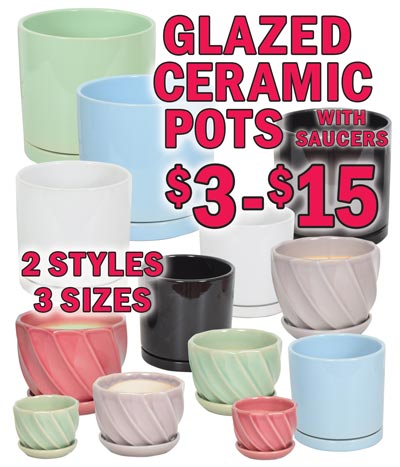 Glazed Ceramic Pots with Saucers – 2 styles, 3 sizes - $3 to $15. Round pot with twist pattern - small 3 inches tall $3, medium 4 and a half inches tall $4.50, and large 5 and a half inches tall $7.50 in 3 colors - green, grey, and red. Cylinder shaped pot - small 6 inches tall $7, medium 7 and a half inches tall $10, and large 8 and a half inches tall $15 in 4 colors – white, black, green, and blue. Styles, colors, and sizes may vary by store.