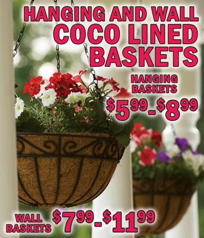 Hanging and Wall Coco Lined Baskets, hanging baskets $5.99 to $8.99, wall baskets $7.99 to $11.99. Wire hanging baskets with rust-resistant finish and hanging chains include eco-friendly coco liner, 12 inch basket $5.99, item number BH090003-12, 14 inch baskets with ornate rims $8.99, item numbers XY15054 and XY15057, 16 inch basket $8.99, item number BH090003-16. Wire wall baskets with rust-resistant finish and ornate rim include eco-friendly coco liner, 16 inch $7.99, item number XY15050, 24 inch $11.99, item number XY15058. Single and Double Shepard Hooks in solid and hollow wrought iron styles. Hollow style comes in 2 pieces for easy storage when not in use. Solid single hook $19.99, 79 inches tall, item number SH-S079, solid double hook $22.99, 79 inches tall, item number SH-D079, hollow single hook $10.88, 86 inches tall, item number KCDHSH001S, hollow double hook $15.88, 86 inches tall, item number SCSHSH001D.