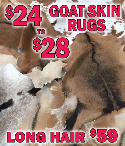 Goat Skin Rugs $24 to $28, item numbers GOATSKIN and GOATSKIN2. Long Hair Goat Skin Rugs $59, item number LONGHAIRGOAT. 6 point 3 to 6 point 9 square feet. Lots of colors to choose from. Each one is unique. Colors vary by store. Goat skin rugs add character and charm to a room. Throw one over the back of a chair or arm of a sofa to dress it up. Perfect as a bedside rug during cold winters or draped over the corner of a bed or bench for added texture and drama.