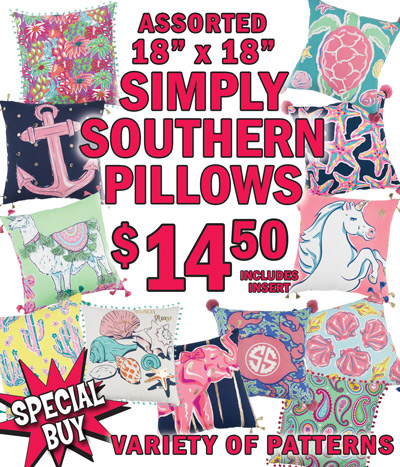 Special Buy Assorted 18 inch by 18 inch Simply Southern Pillows in a variety of patterns, $14.50 includes insert