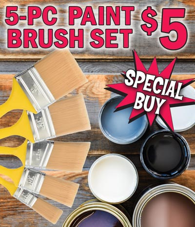 5-piece Paint Brush Set Special Buy $5