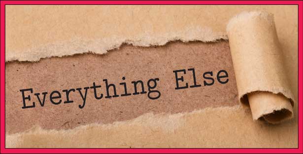 Everything Else. We have such a variety of product and some just don't fit in any other category. If you've looked everywhere else for something, and haven't found it, it's probably here.